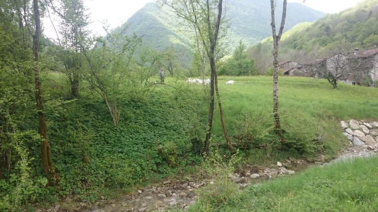 B&B In Fattoria Frisanco Eksteriør billede