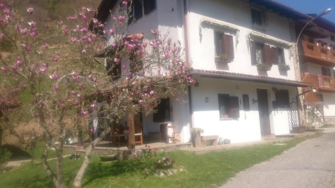 B&B In Fattoria Frisanco Eksteriør billede